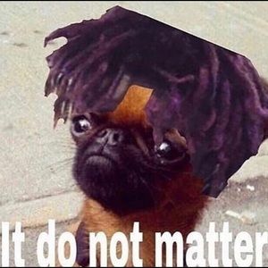 Meet your Posher, Patnick